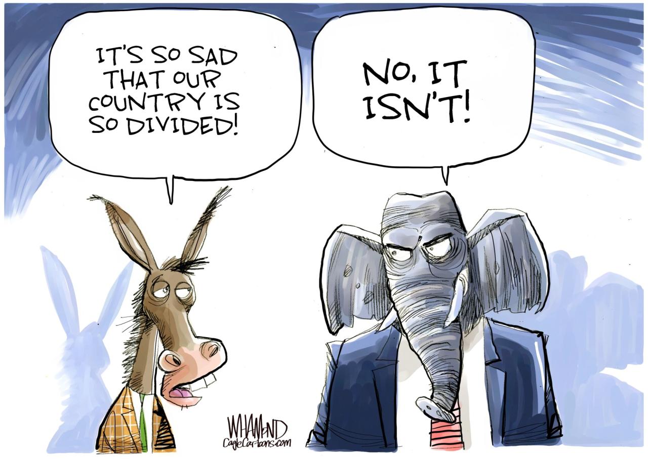 The dis-united states political cartoon