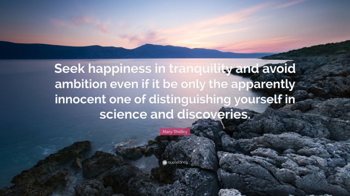 Seek happiness in tranquility and avoid ambition