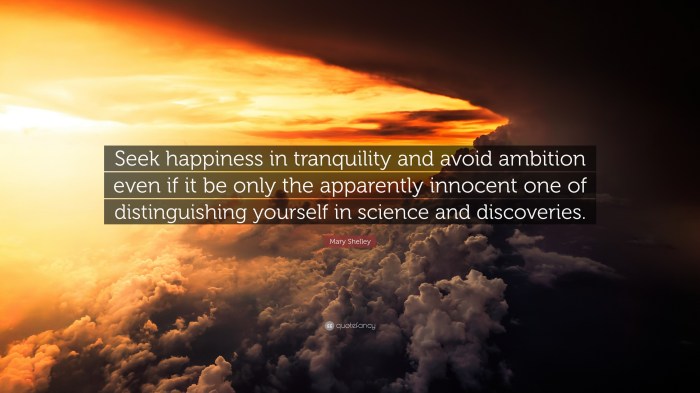 Seek happiness in tranquility and avoid ambition