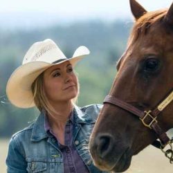 Heartland tv shows cbc seasons seizoen